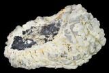 Polished Dendritic Agate Nodule Half - Uruguay #152681-2